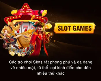 Chương trình VIP và đặc quyền cao cấp
